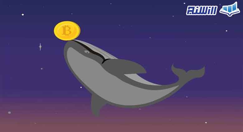 اهمیت کشف روش شناسایی کیف پول نهنگ ها